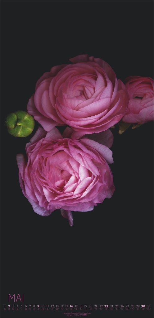 Weitere Ansicht: Die Magie der Blumen Kalender 2027