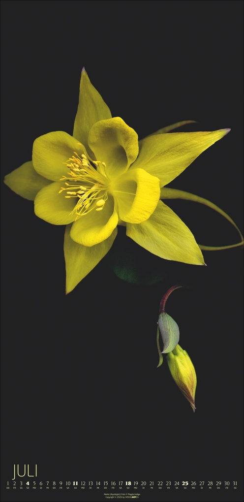 Weitere Ansicht: Die Magie der Blumen Kalender 2027