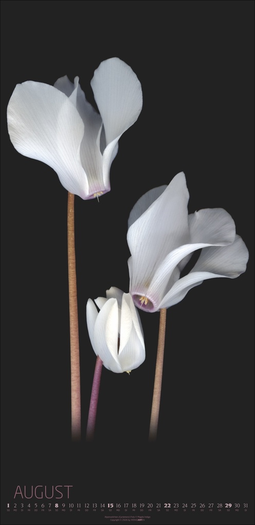 Weitere Ansicht: Die Magie der Blumen Kalender 2027