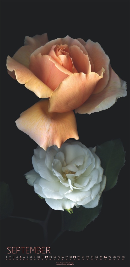 Weitere Ansicht: Die Magie der Blumen Kalender 2027