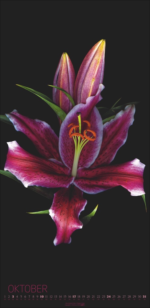 Weitere Ansicht: Die Magie der Blumen Kalender 2027