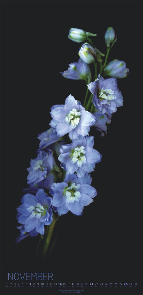 Weitere Ansicht: Die Magie der Blumen Kalender 2027