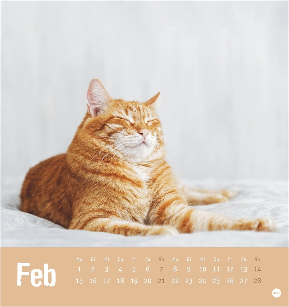 Weitere Ansicht: Tierisch entspannte Katzen Postkartenkalender 2027