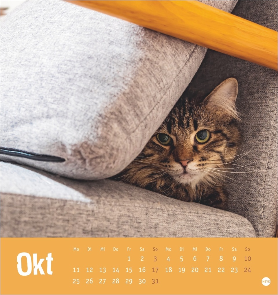 Weitere Ansicht: Tierisch entspannte Katzen Postkartenkalender 2027