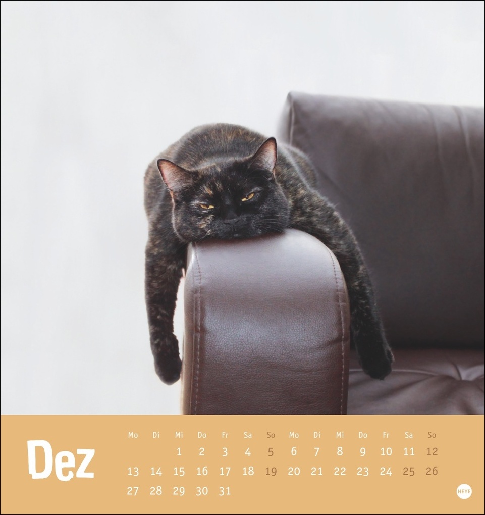 Weitere Ansicht: Tierisch entspannte Katzen Postkartenkalender 2027
