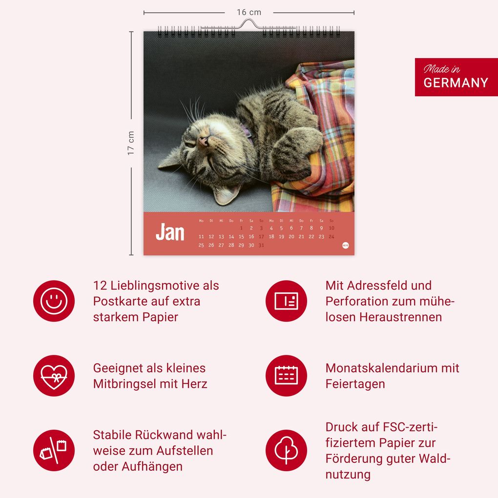 Weitere Ansicht: Tierisch entspannte Katzen Postkartenkalender 2027