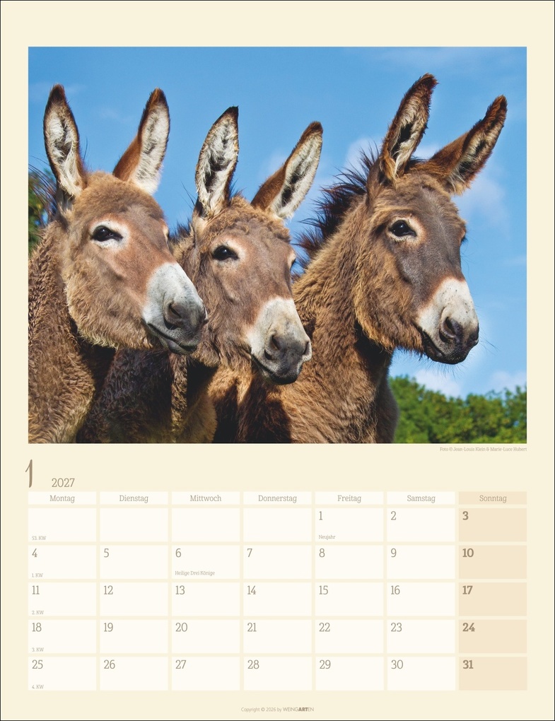 Weitere Ansicht: Esel Kalender 2027