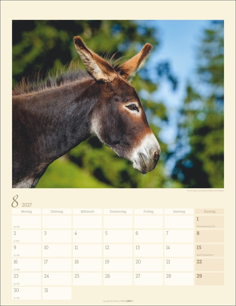 Weitere Ansicht: Esel Kalender 2027