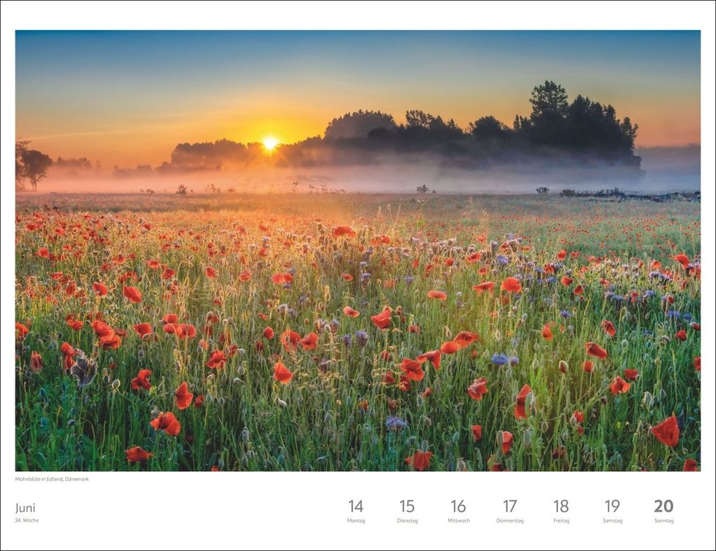 Weitere Ansicht: Zauber des Nordens Großer Wochenkalender 2027 - Jede Woche ein neues Bild