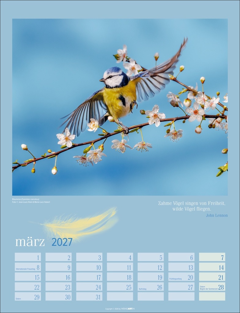 Weitere Ansicht: Heimische Vögel Kalender 2027