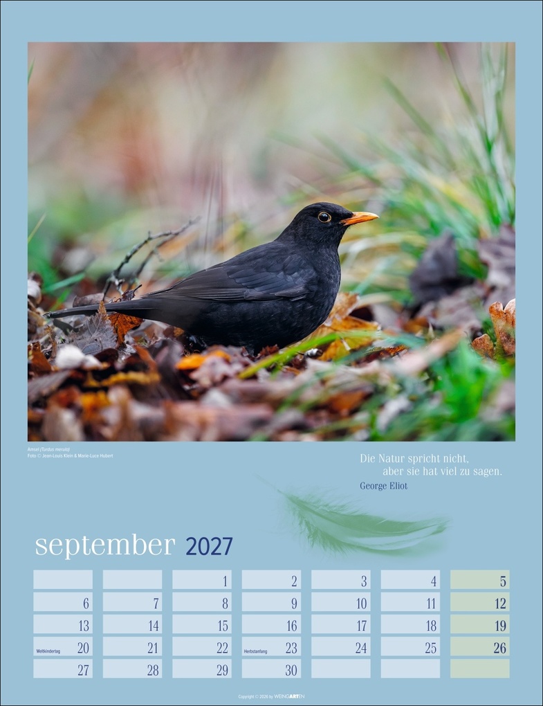 Weitere Ansicht: Heimische Vögel Kalender 2027