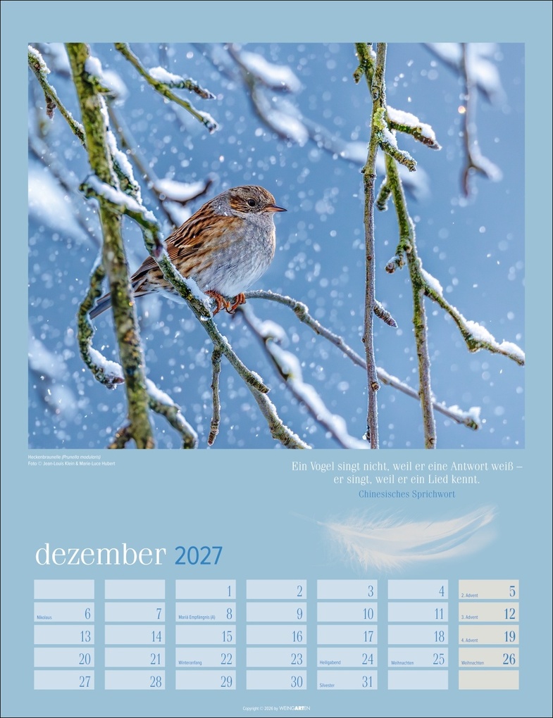Weitere Ansicht: Heimische Vögel Kalender 2027
