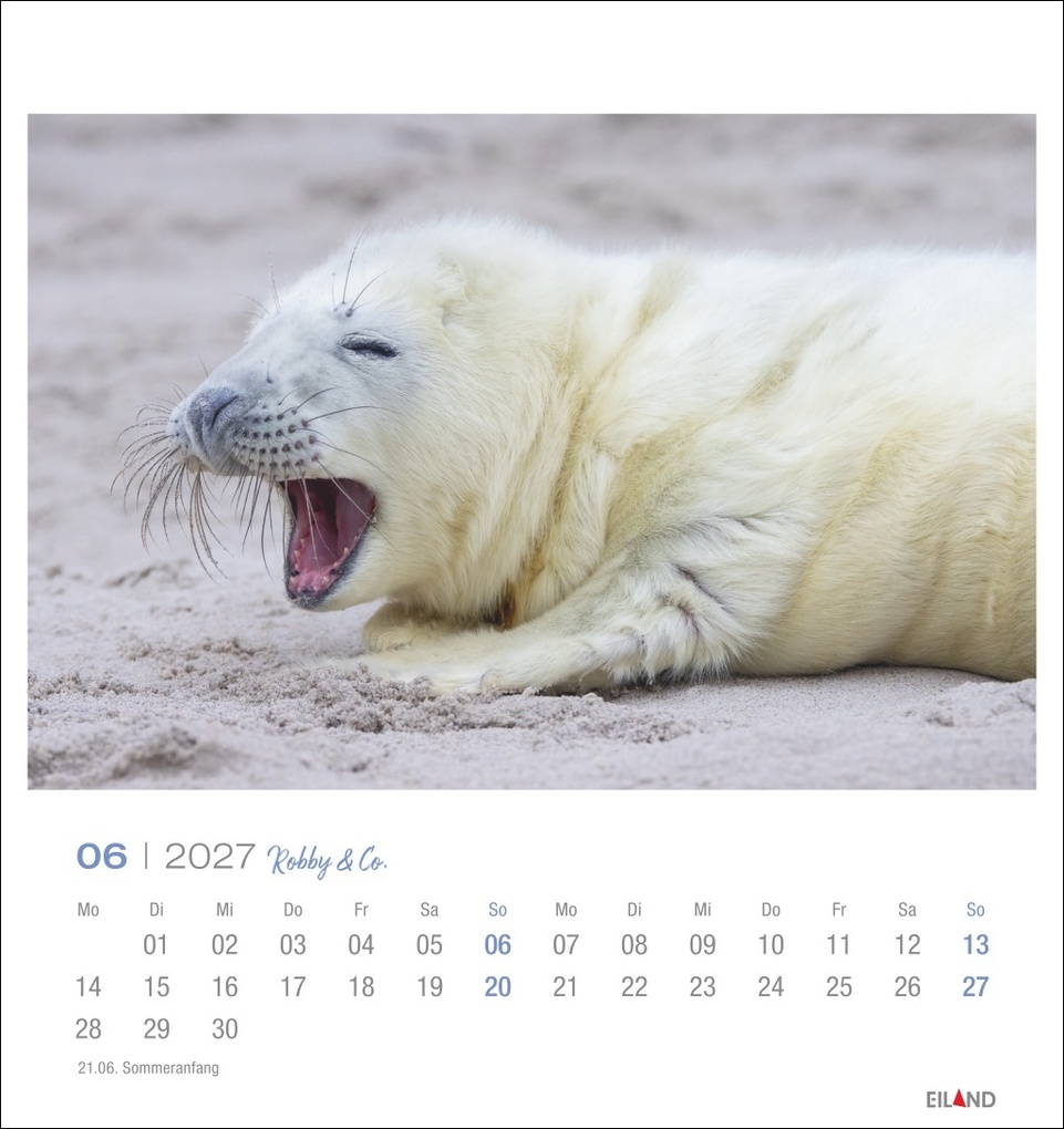 Weitere Ansicht: Robby & Co. Postkartenkalender 2027