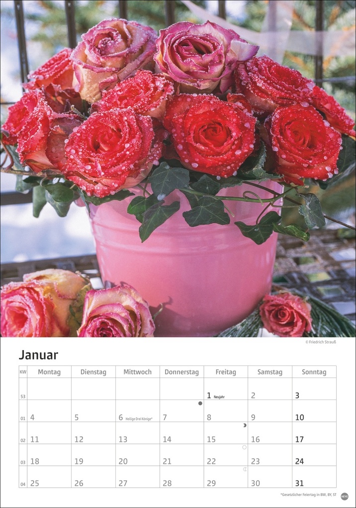 Weitere Ansicht: Rosenpracht Kalender 2027