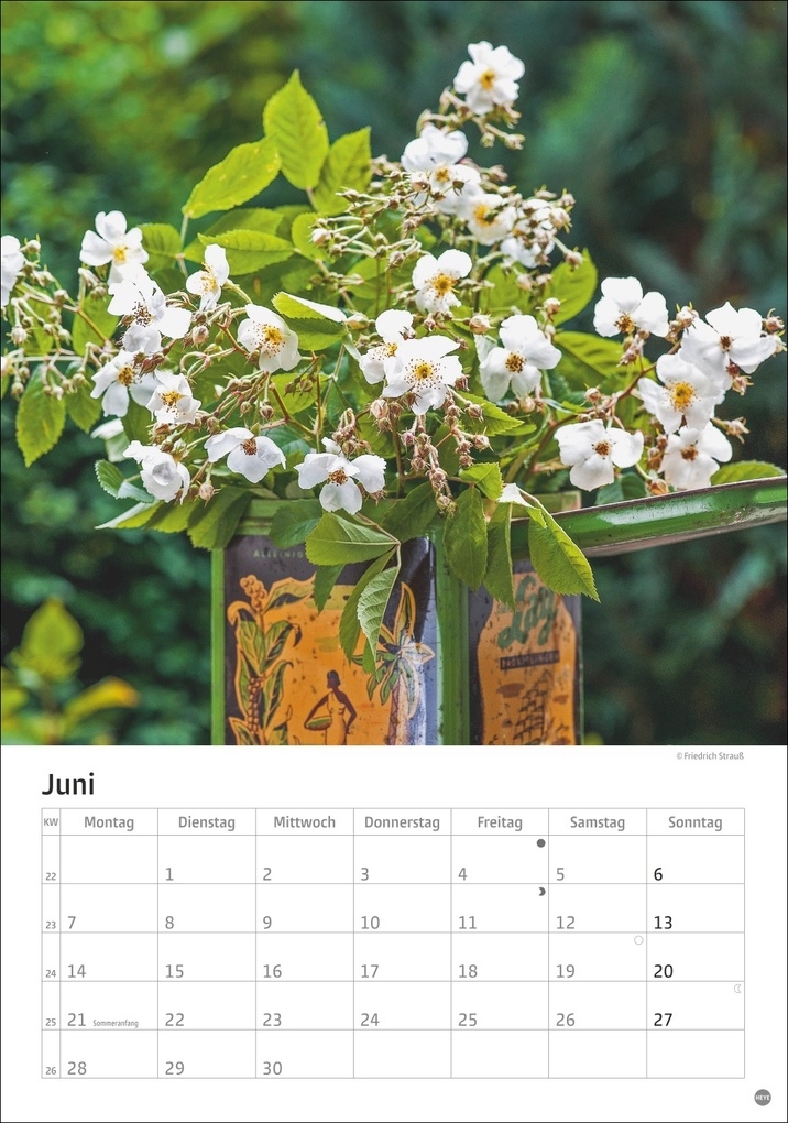 Weitere Ansicht: Rosenpracht Kalender 2027