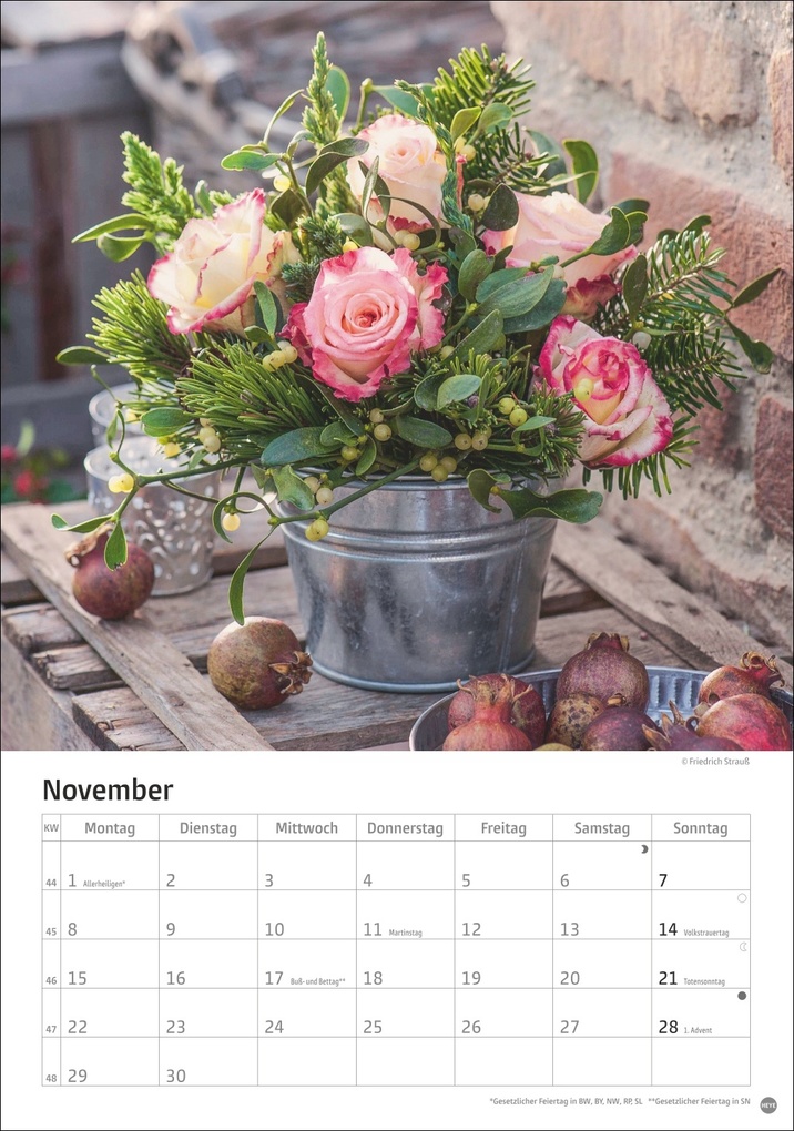 Weitere Ansicht: Rosenpracht Kalender 2027