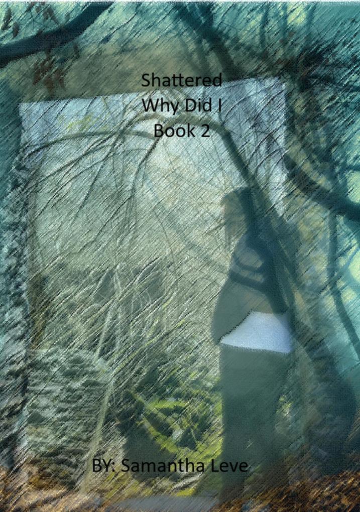 Produktbild: Why Did I | Samantha Leve