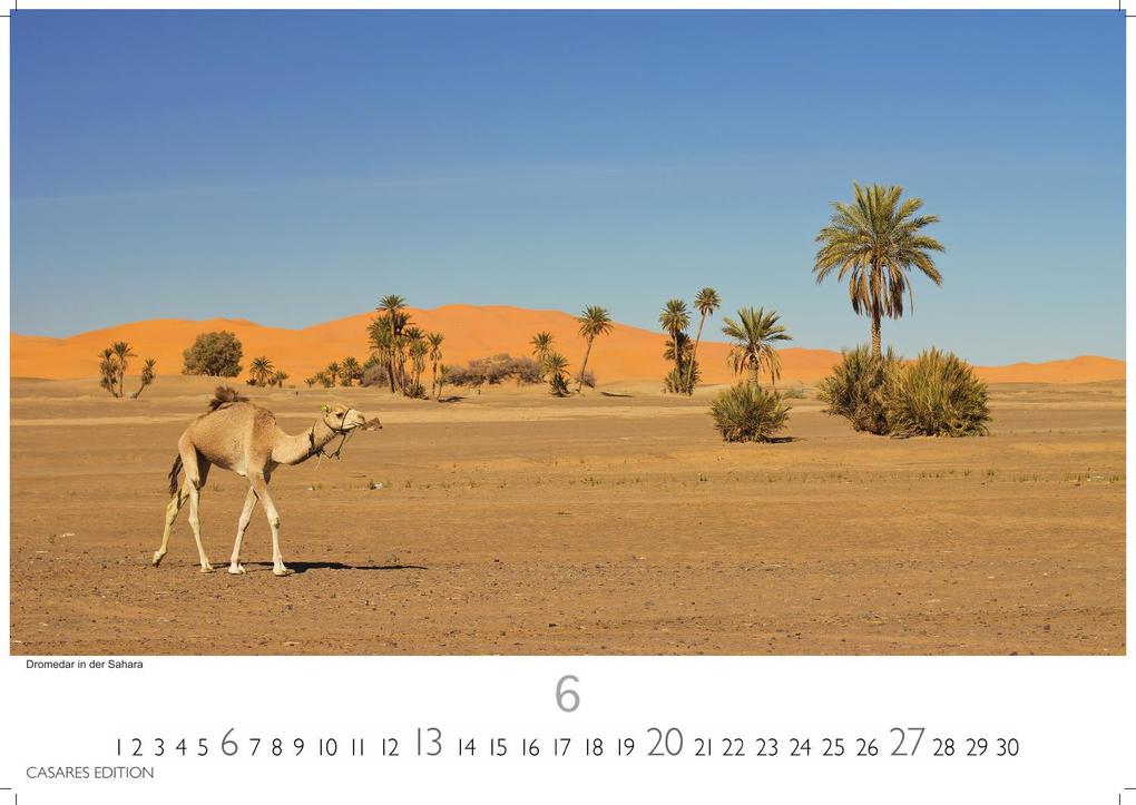 Weitere Ansicht: Tunesien Kalender 2027 - Wandkalender | Fotokalender Afrika 35x50 cm: Hochwertige Fotos, die die Kultur, Landschaften und Sehenswürdigkeiten Tunesiens zeigen.
