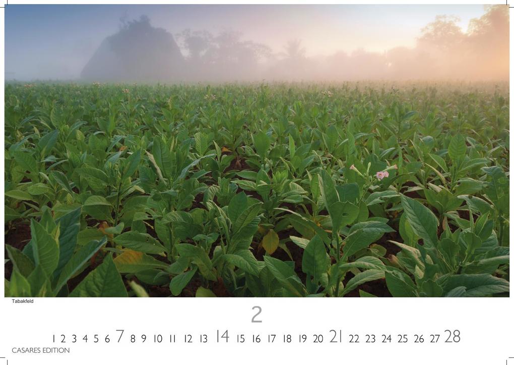 Weitere Ansicht: Cuba Kalender 2027 - Wandkalender | Fotokalender Karibik 35x50cm - Farbenfroher mit beeindruckenden Kuba-Motiven, perfekte Deko & Geschenkidee
