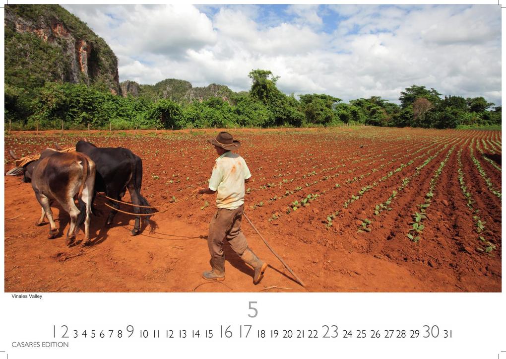 Weitere Ansicht: Cuba Kalender 2027 - Wandkalender | Fotokalender Karibik 35x50cm - Farbenfroher mit beeindruckenden Kuba-Motiven, perfekte Deko & Geschenkidee