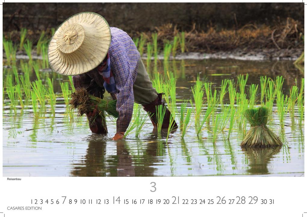 Weitere Ansicht: Thailand Kalender 2027 - Wandkalender | Fotokalender 24x35cm - Hochwertiger für 2027 - von der beeindruckenden Schönheit des Landes, Perfekt für Thailand-Liebhaber