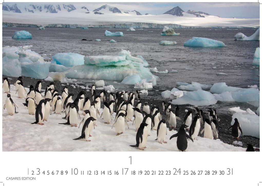 Weitere Ansicht: Arctic Landscape Kalender 2027 - Wandkalender | Fotokalender Naturkalender 35x50cm Grosses Format - 12 faszinierende Fotos von arktische Landschaften | Polarlandschaften