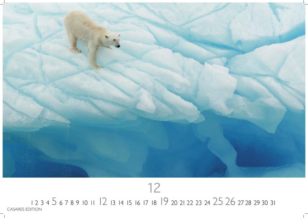 Weitere Ansicht: Arctic Landscape Kalender 2027 - Wandkalender | Fotokalender Naturkalender 35x50cm Grosses Format - 12 faszinierende Fotos von arktische Landschaften | Polarlandschaften