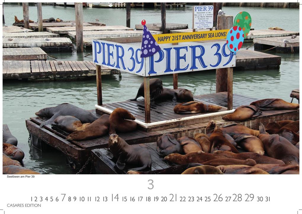 Weitere Ansicht: San Francisco Kalender 2027 - Wandkalender | Fotokalender Nordamerika 35x50cm - Faszinierende Bilder aus der Stadt der Hügel, perfekt als Deko & Geschenkidee