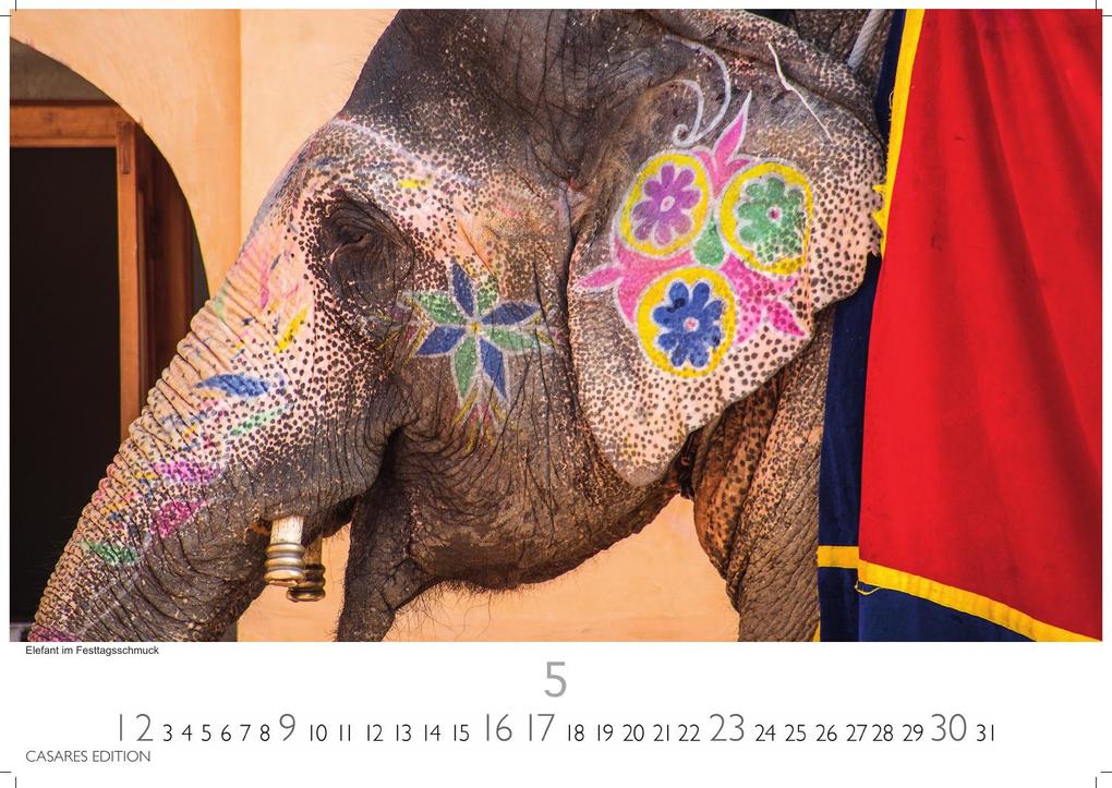Weitere Ansicht: Indien Kalender 2027 - Wandkalender | Fotokalender Asien 35x50cm Grosses Format - Entdecken Sie die vielfältige Kultur Indiens in 12 faszinierenden Fotos