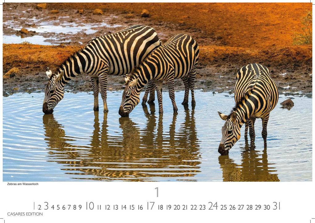 Weitere Ansicht: Kenia & Serengheti Kalender 2027 - Wandkalender | Fotokalender Afrika 35x50cm - Wunderschöne Tierkalender- und Naturschutzfotos.
