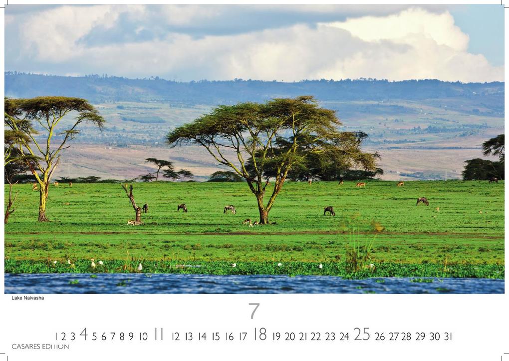 Weitere Ansicht: Kenia & Serengheti Kalender 2027 - Wandkalender | Fotokalender Afrika 35x50cm - Wunderschöne Tierkalender- und Naturschutzfotos.