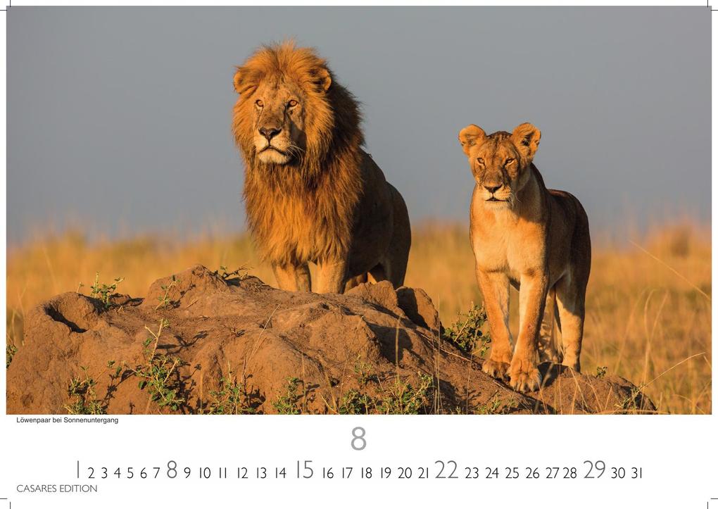 Weitere Ansicht: Kenia & Serengheti Kalender 2027 - Wandkalender | Fotokalender Afrika 35x50cm - Wunderschöne Tierkalender- und Naturschutzfotos.