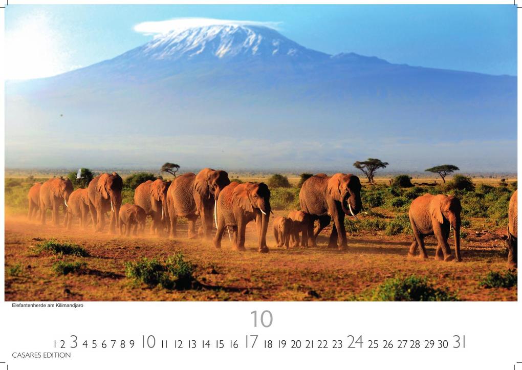 Weitere Ansicht: Kenia & Serengheti Kalender 2027 - Wandkalender | Fotokalender Afrika 35x50cm - Wunderschöne Tierkalender- und Naturschutzfotos.