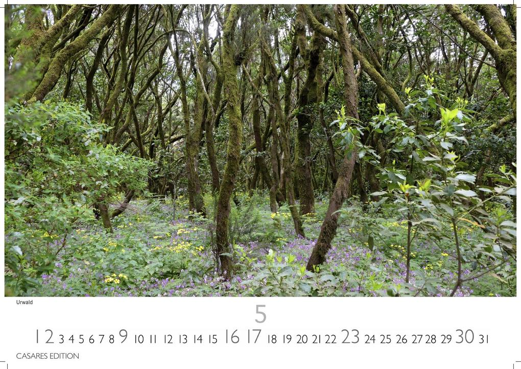 Weitere Ansicht: La Gomera Kalender 2027 - Wandkalender | Fotokalender Spanien 35x50cm - Atemberaubender . mit den schönsten Motiven der Kanareninsel