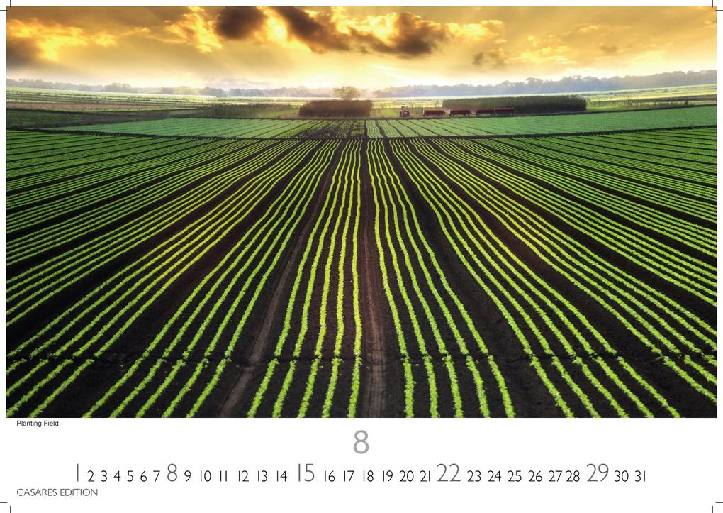 Weitere Ansicht: Florida Kalender 2027 - Wandkalender | Fotokalender Nordamerika 35x50cm Traumhafte Landschaften & Küstenstädte voller Lebensfreude, perfekt als Geschenkidee