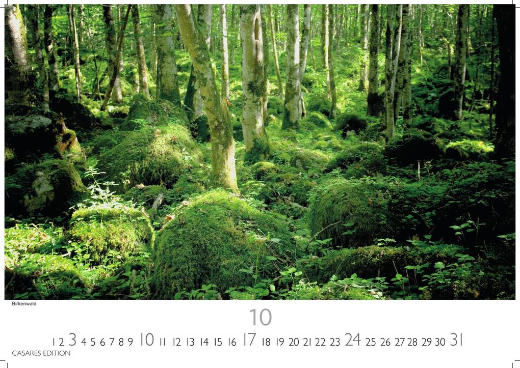 Weitere Ansicht: Schweden Kalender 2027 - Wandkalender | Fotokalender Nordeuropa 35x50cm Grosses Format - Naturerlebnisse & Landschaften des Nordens - Hochwertiger . mit beeindruckenden Fotos