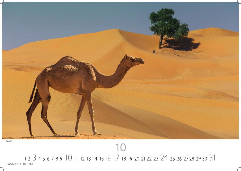 Weitere Ansicht: Dubai/Abu Dhabi Kalender 2027 - Wandkalender | Fotokalender Orient 24x35 cm - . mit atemberaubenden Bildern - Perfekt für Dubai Fans & Reiseliebhaber