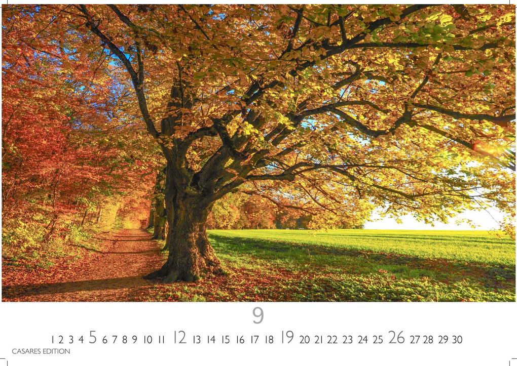 Weitere Ansicht: Indian Summer Kalender 2027 - Wandkalender | Fotokalender Nordamerika 24x35cm - Leuchtende Herbstfarben Nordamerikas in stimmungsvollen Bildern für deine Wand