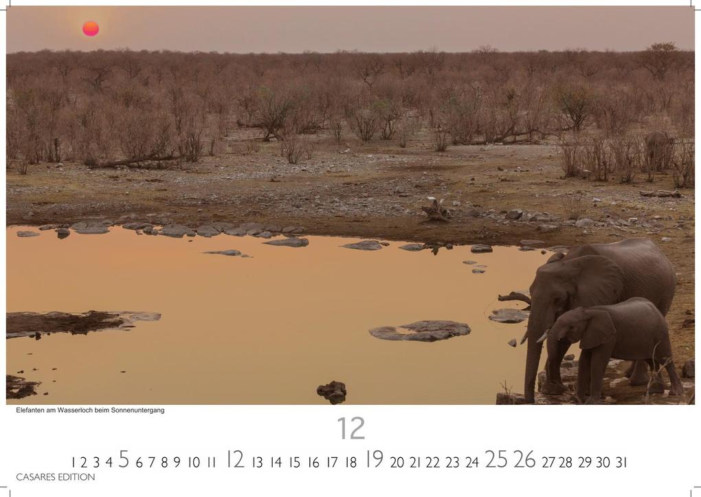 Weitere Ansicht: Namibia Kalender 2027 - Wandkalender | Fotokalender Afrika 24x35 cm - . mit atemberaubenden Landschaftsfotos und der Tierwelt.