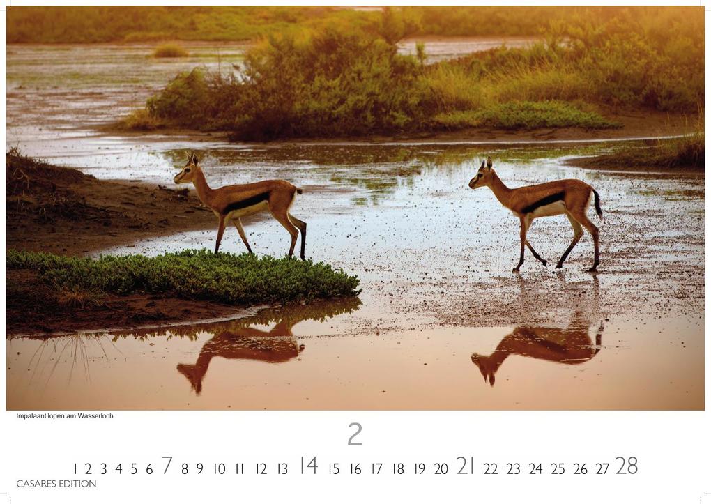 Weitere Ansicht: Namibia Kalender 2027 - Wandkalender | Fotokalender Afrika 35x50 cm - . mit atemberaubenden Landschaftsfotos und der Tierwelt.