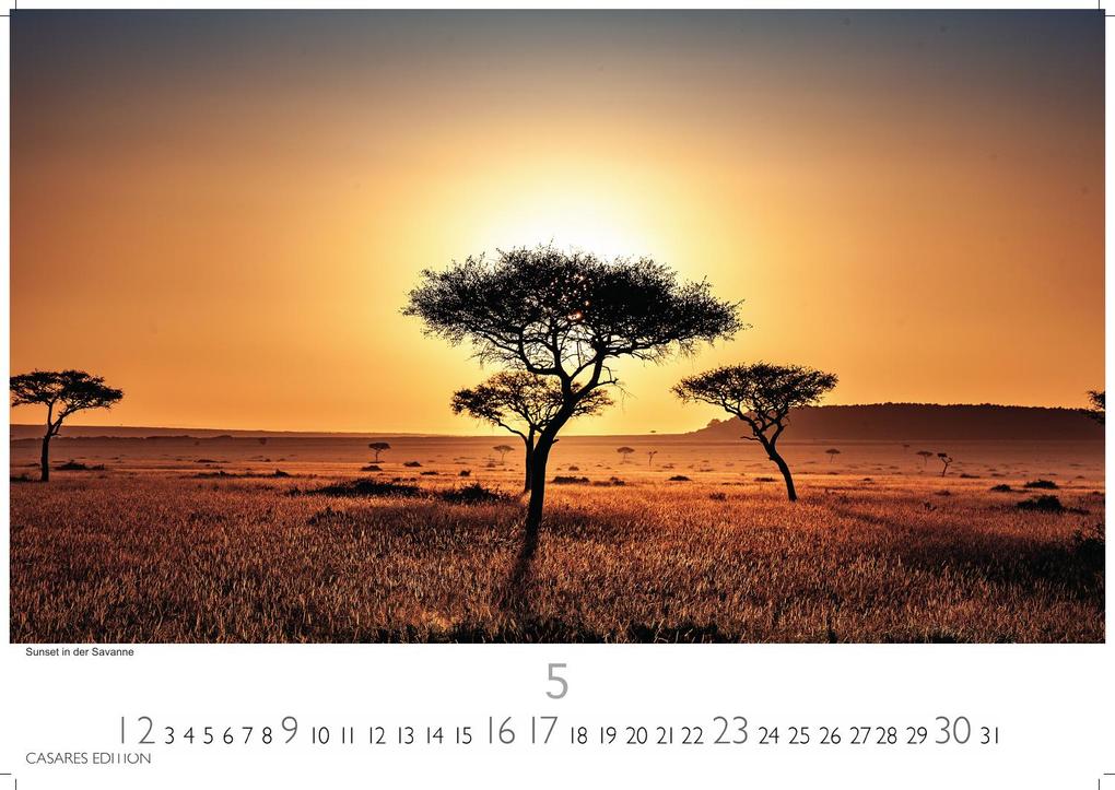 Weitere Ansicht: Kenia & Serengheti Kalender 2027 - Wandkalender | Fotokalender Afrika 24x35cm - Wunderschöne Tierkalender- und Naturschutzfotos.