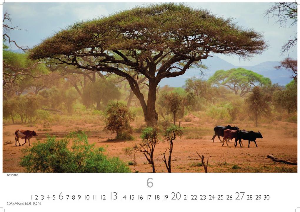 Weitere Ansicht: Kenia & Serengheti Kalender 2027 - Wandkalender | Fotokalender Afrika 24x35cm - Wunderschöne Tierkalender- und Naturschutzfotos.