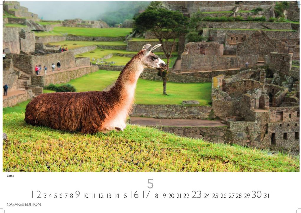 Weitere Ansicht: Peru Kalender 2027 - Wandkalender | Fotokalender Südamerika 24x35cm - Bildkalender mit faszinierenden Natur- und Kulturszenen für Reisefans, Südamerika-Liebhaber & Träumer