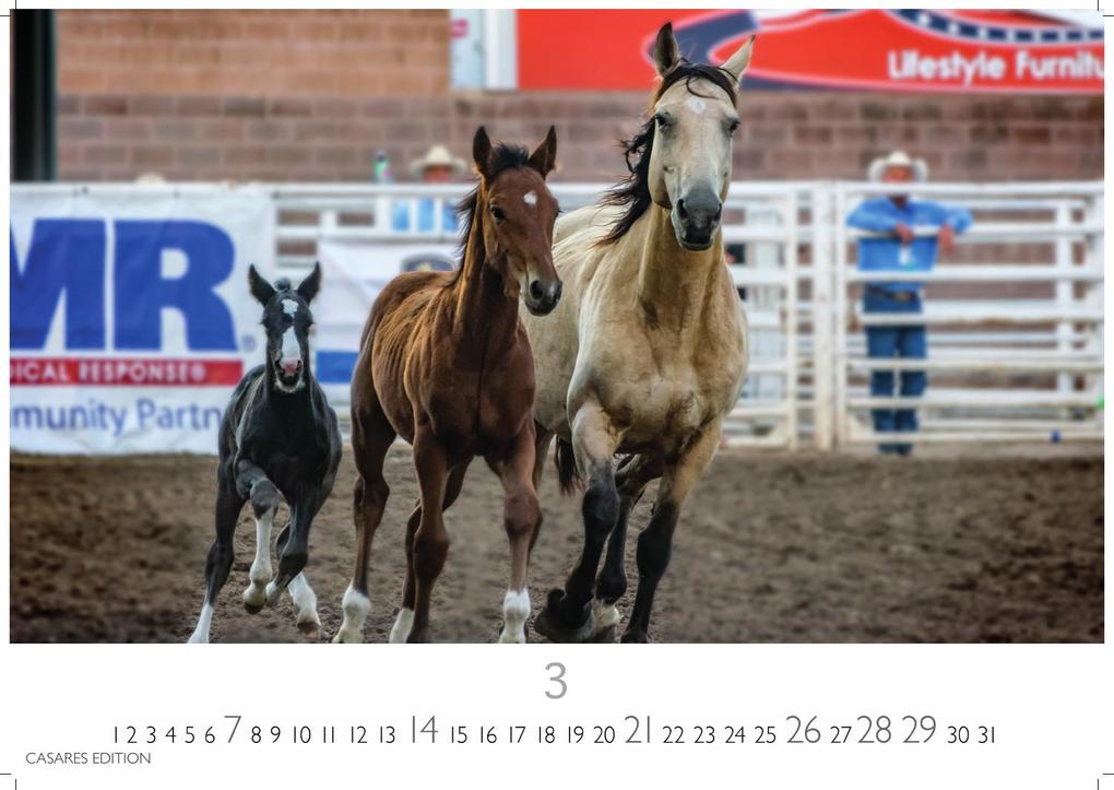Weitere Ansicht: Pferde Kalender 2027 - Wandkalender | Fotokalender Tierkalender 35x50cm mit 12 wunderschönen Fotos dieser edlen Tiere