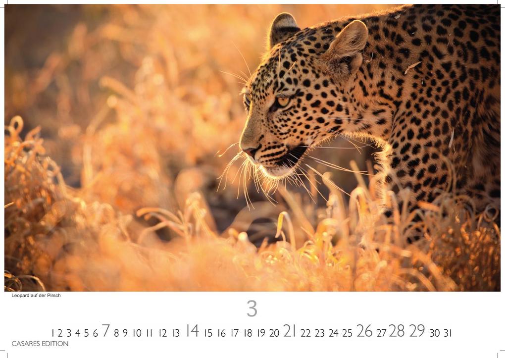 Weitere Ansicht: Südafrika Kalender 2027 - Wandkalender | Fotokalender Afrika 35x50cm - . mit atemberaubenden Natur- und Tierkalenderaufnahmen