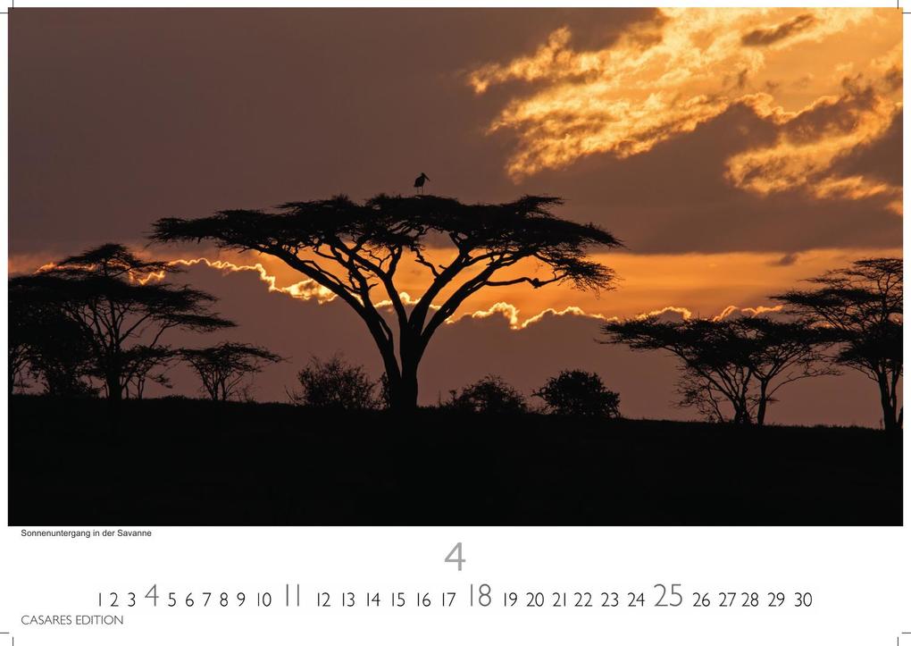 Weitere Ansicht: Südafrika Kalender 2027 - Wandkalender | Fotokalender Afrika 35x50cm - . mit atemberaubenden Natur- und Tierkalenderaufnahmen