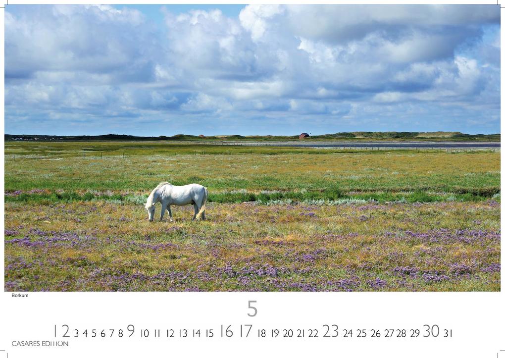 Weitere Ansicht: Nordseeküste Kalender 2027 - Wandkalender | Fotokalender Deutschland 35x24cm | in 12 eindrucksvollen Bildern - Natur, Gezeiten, Strand und weite Horizonte