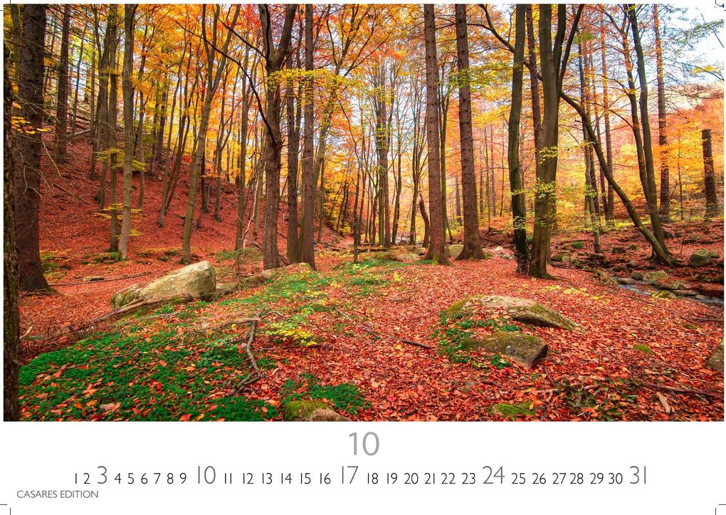 Weitere Ansicht: Indian Summer Kalender 2027 - Wandkalender | Fotokalender Nordamerika 35x50cm - Faszinierende Landschaften in Gold & Rot, perfekte Deko oder Geschenkidee