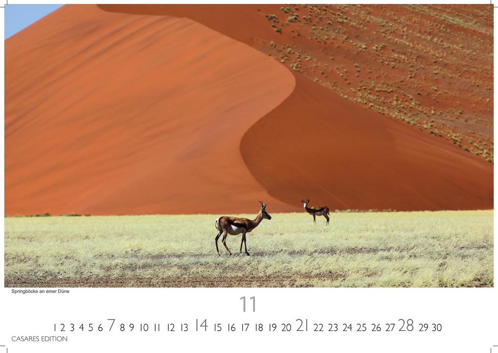 Weitere Ansicht: Wilde Tiere Afrikas Kalender 2027 - Wandkalender | Fotokalender Afrika 24x35cm | Naturfotografie | Tierkalender Afrika | Geschenk für Naturliebhaber