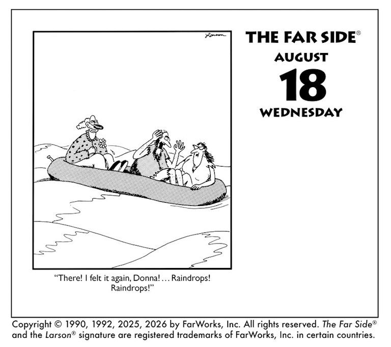 Weitere Ansicht: The Far Side 2027 | McMeel Andrews